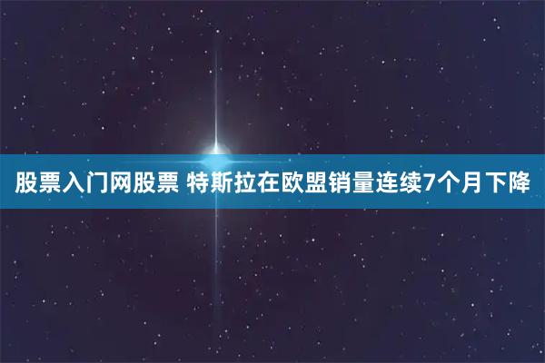 股票入门网股票 特斯拉在欧盟销量连续7个月下降