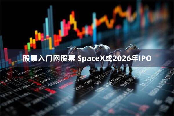 股票入门网股票 SpaceX或2026年IPO