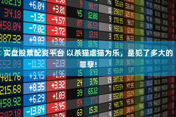 实盘股票配资平台 以杀猫虐猫为乐,是犯了多大的罪孽!